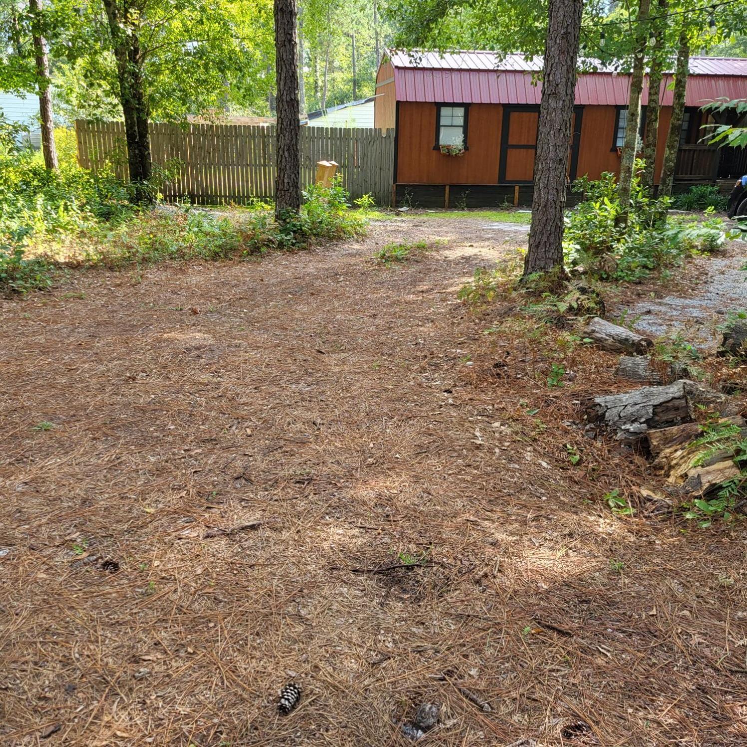 Fern Gully Cabin Conway Kültér fotó